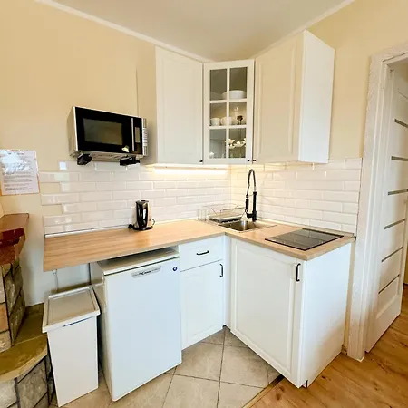 U Zbyszka W Willi Michalowka Homestay